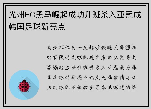 光州FC黑马崛起成功升班杀入亚冠成韩国足球新亮点